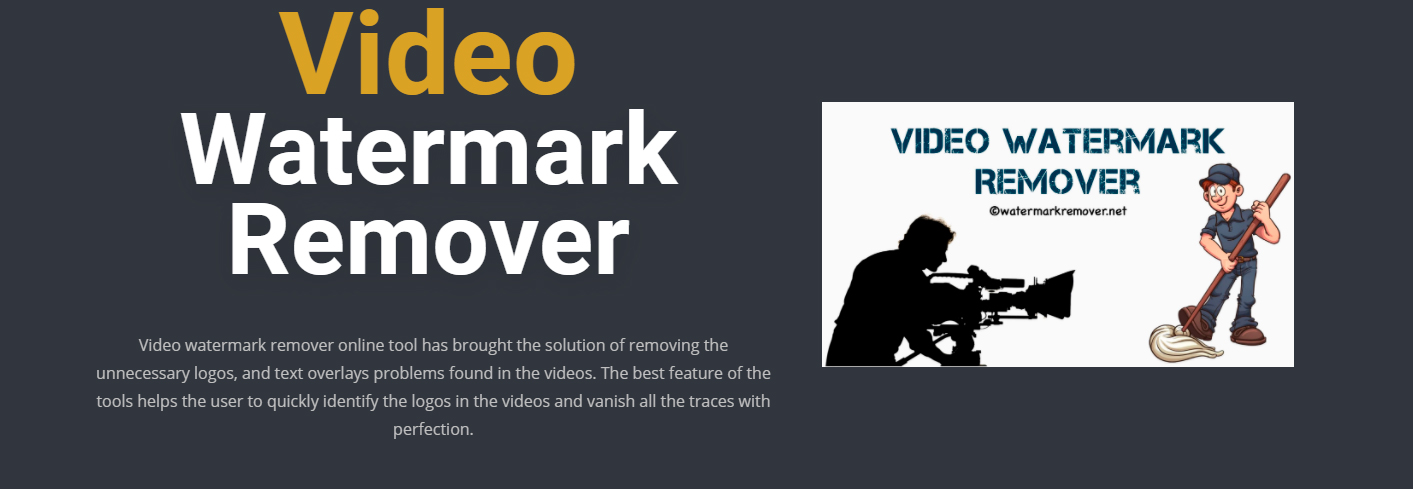 video watermark remover
